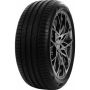 Легковая шина Delinte DS2 245/45 R18 100W