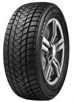 Delinte Winter WD1 195/55 R15 85H